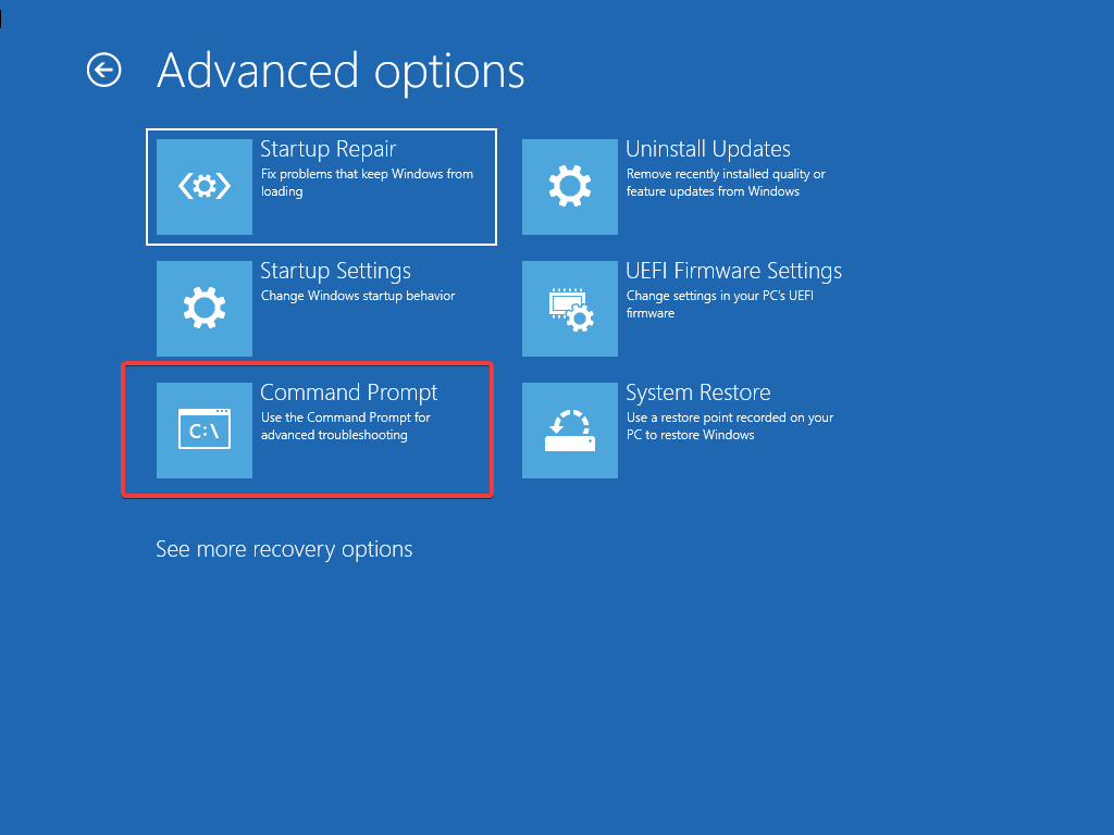 Command Prompt in Advanced options
