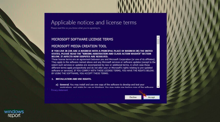 Окно согласия условий
