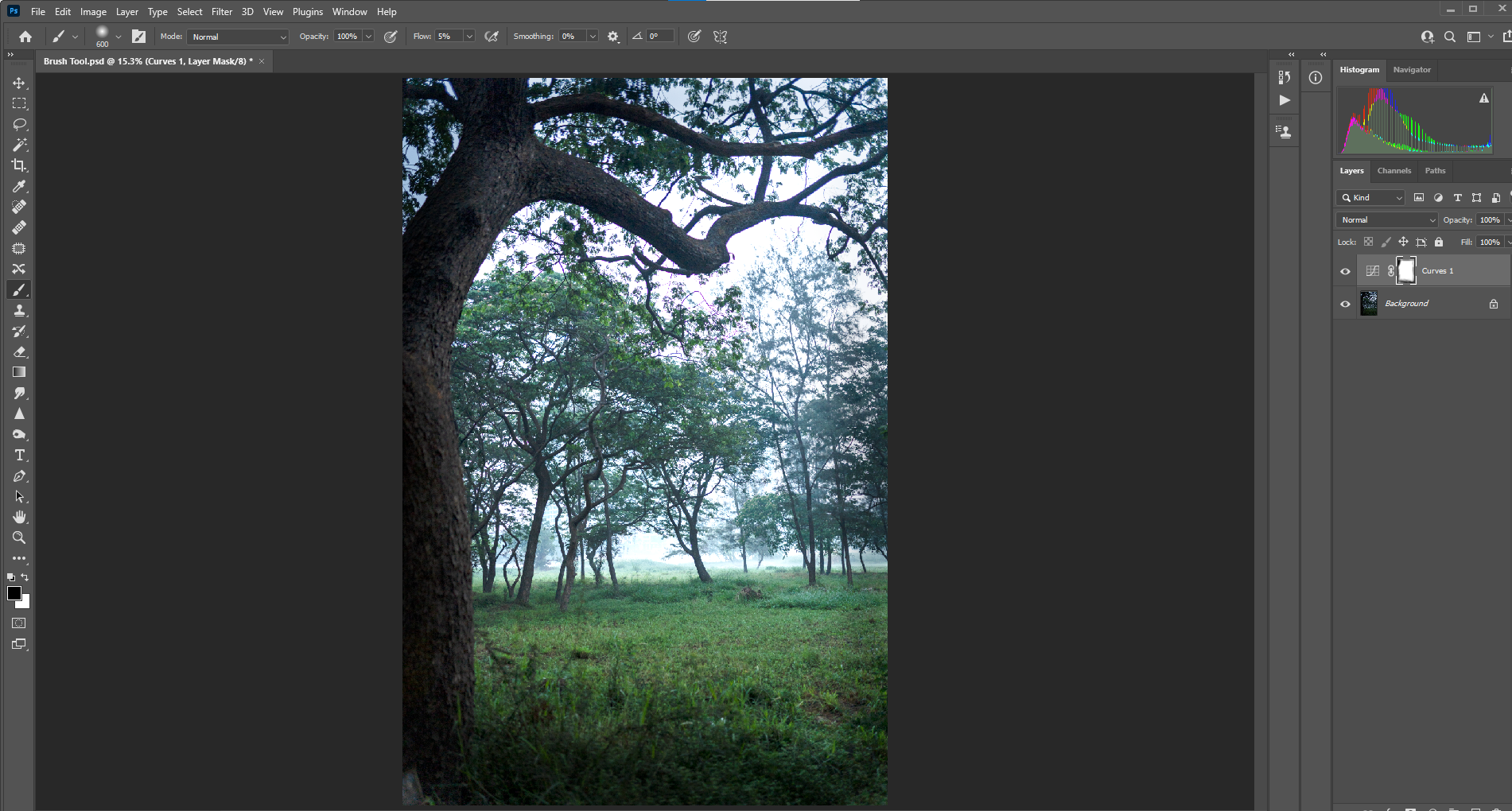 натуральная виньетка