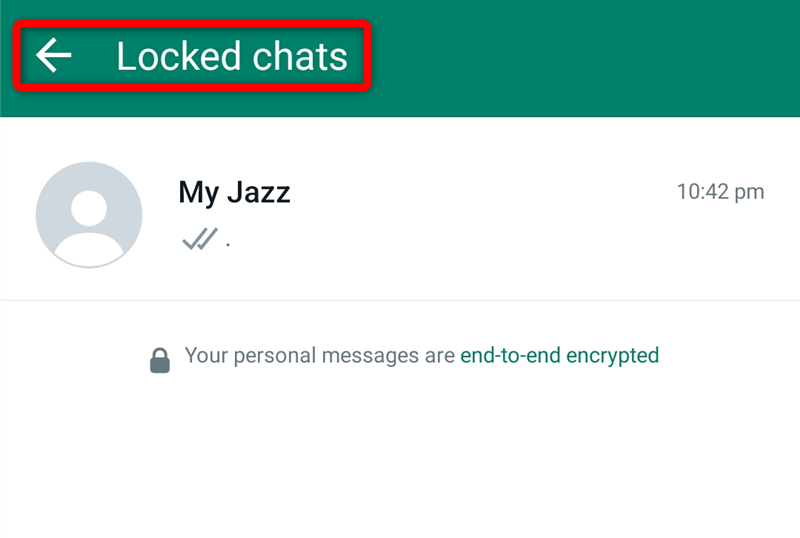 Список заблокированных чатов в папке Locked Chats