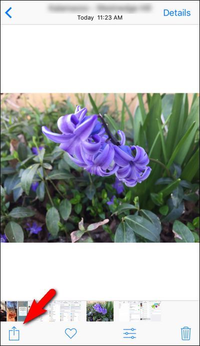 Меню поделиться в iOS с фотопревью