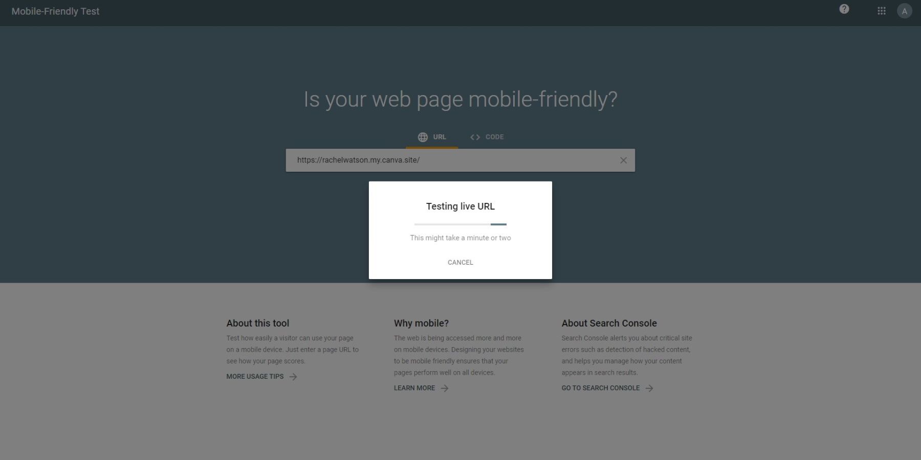 Инструмент Mobile-Friendly Test Google показывает снимок мобильной версии страницы