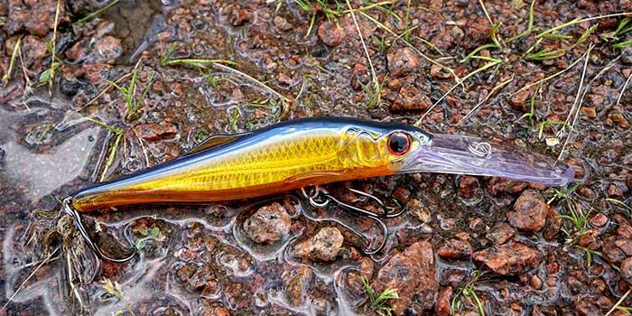 Заражённый USB-накопитель на парковке, приманка для любопытных