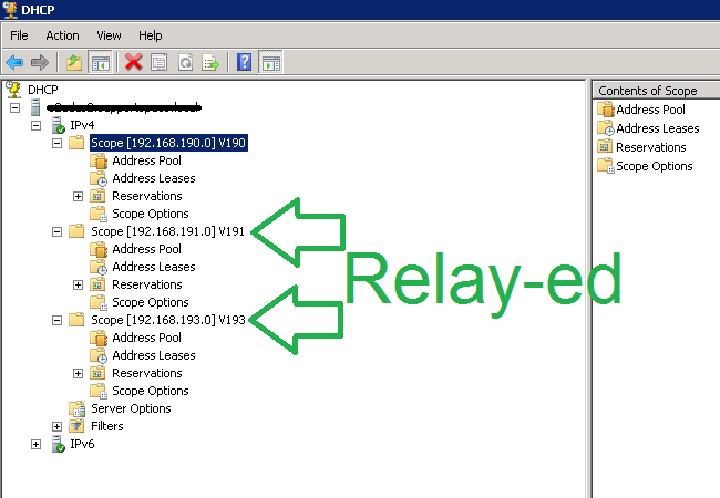 Конфигурация scope на Microsoft DHCP