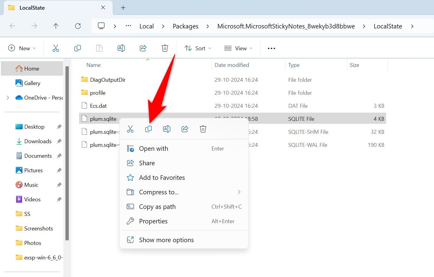 Файл plum.sqlite выделен в Проводнике для копирования.