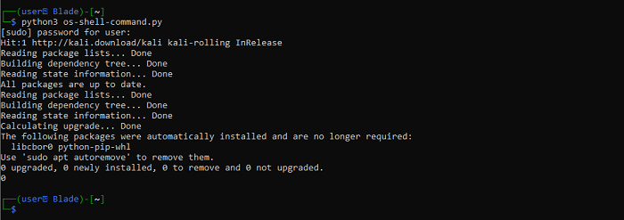 Запуск shell команды через Python