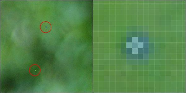 Nikon D80で撮影したスティックピクセル（100%と3000%クロップの比較）