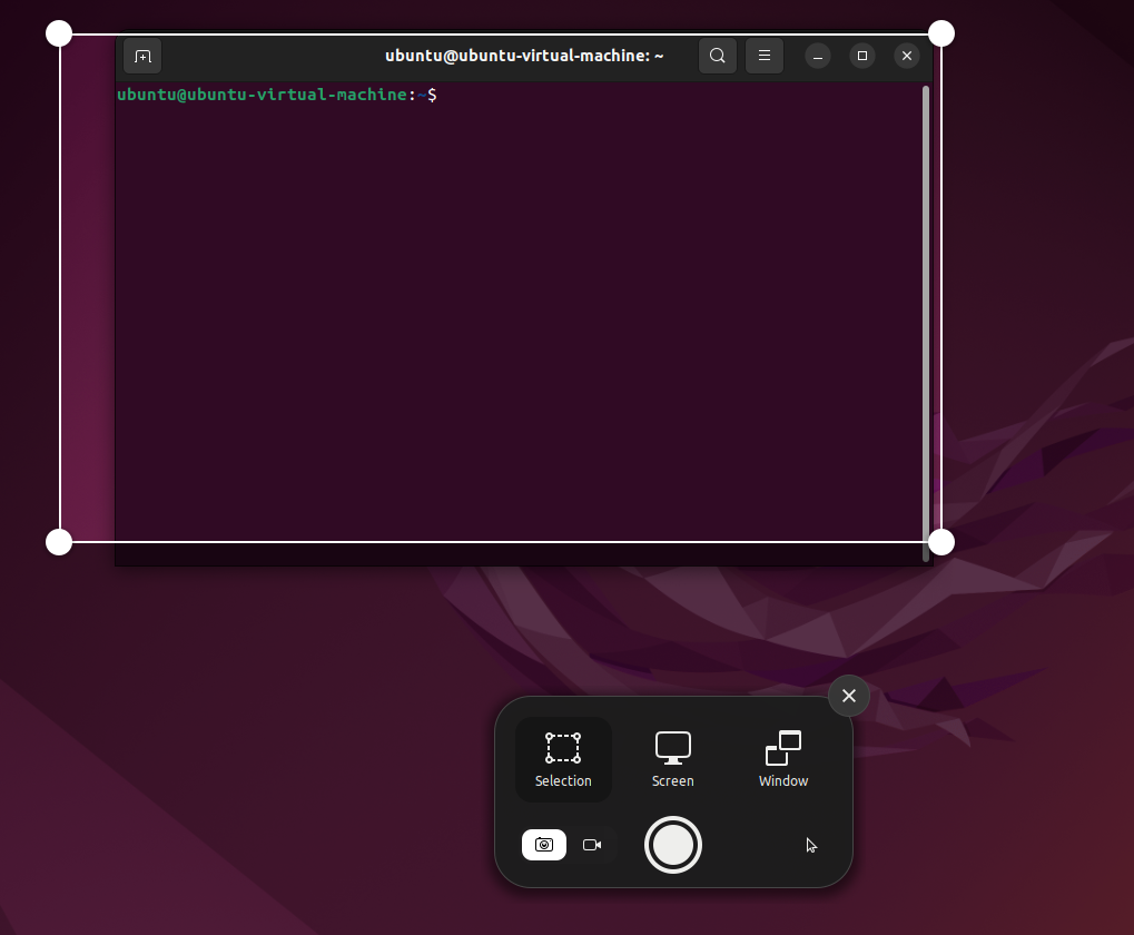 Использование клавиши PrintScreen в Ubuntu: появившееся меню с вариантами Selection, Screen, Window.