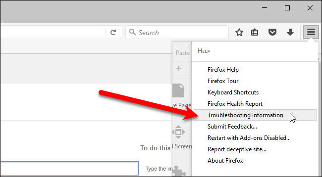 Выбор Troubleshooting Information в панели справки
