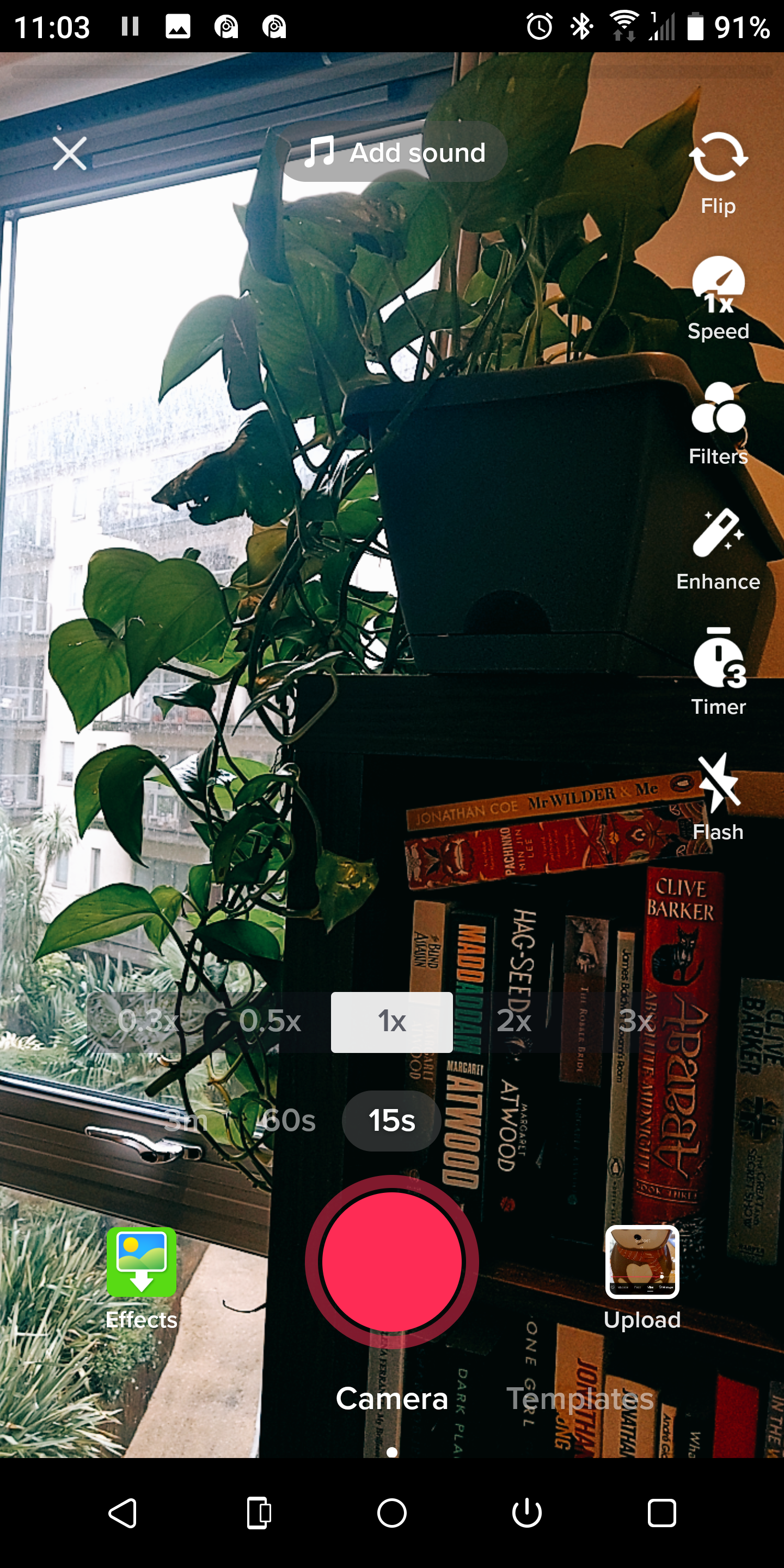 растение, снятое в приложении TikTok