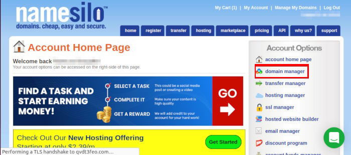 Страница управления доменом