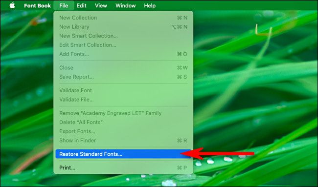 В поле меню Font Book выберите «Restore Standard Fonts»
