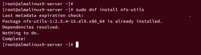 Installare e configurare NFS su AlmaLinux 9