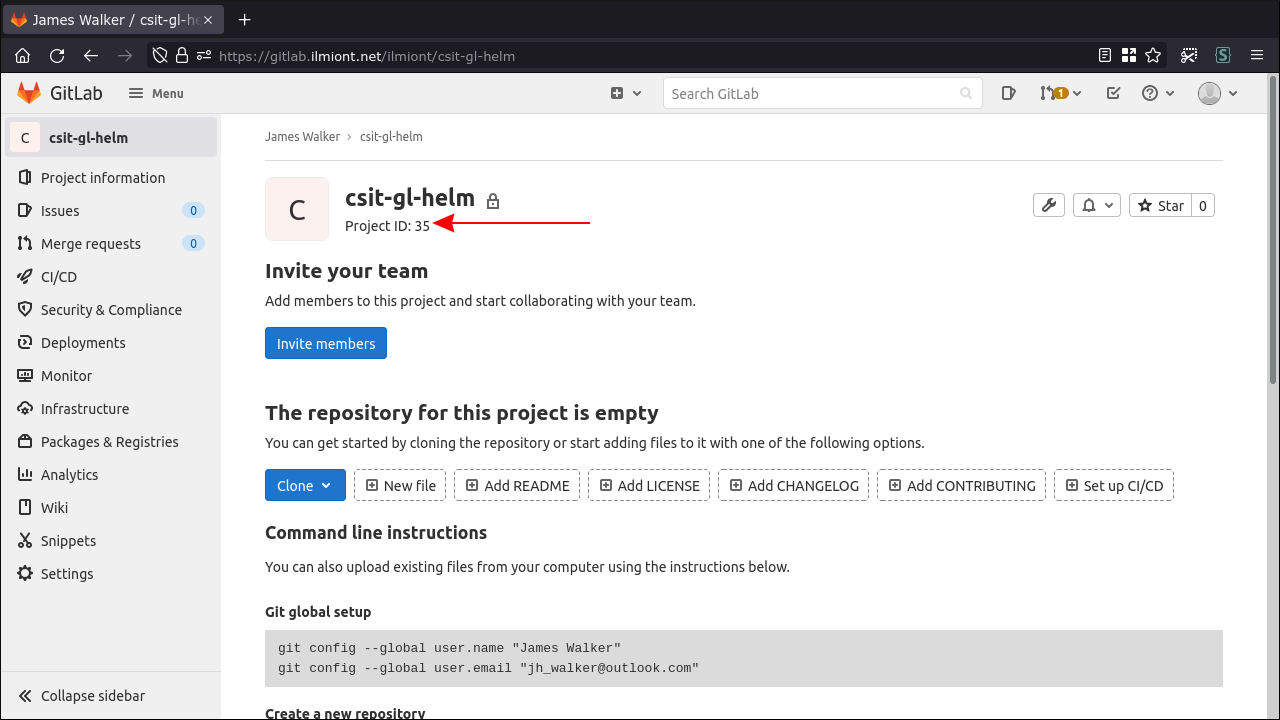 Скриншот: нахождение внутреннего ID проекта в GitLab