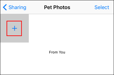 Кнопка добавления фото в общий альбом: серый квадрат с синим плюсом