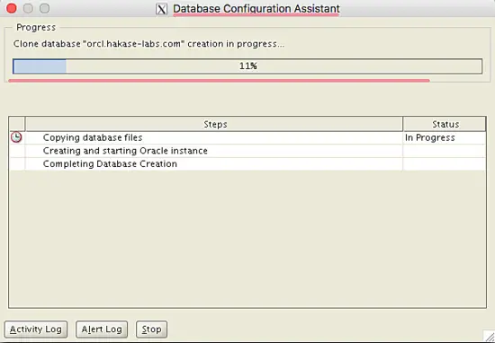 Database Configuration Assistant выполняется