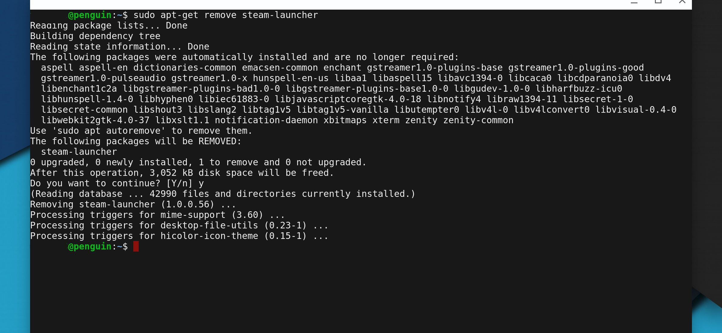 Изображение: окно Terminal с командой удаления приложения в Linux на Chromebook