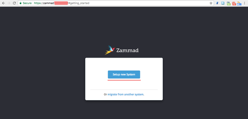 Начало настройки Zammad