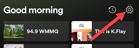 Значок шестерёнки в правом верхнем углу приложения Spotify