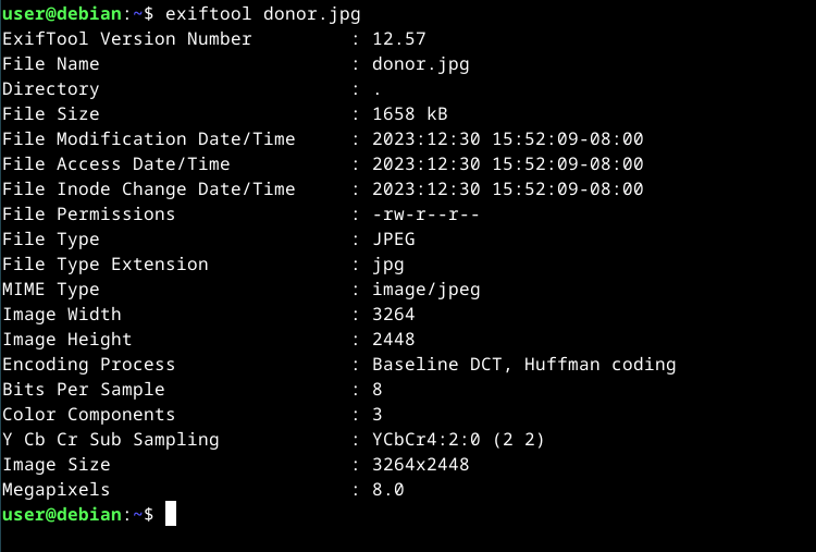 Окно терминала показывающее отсутствие EXIF-метаданных на Debian.