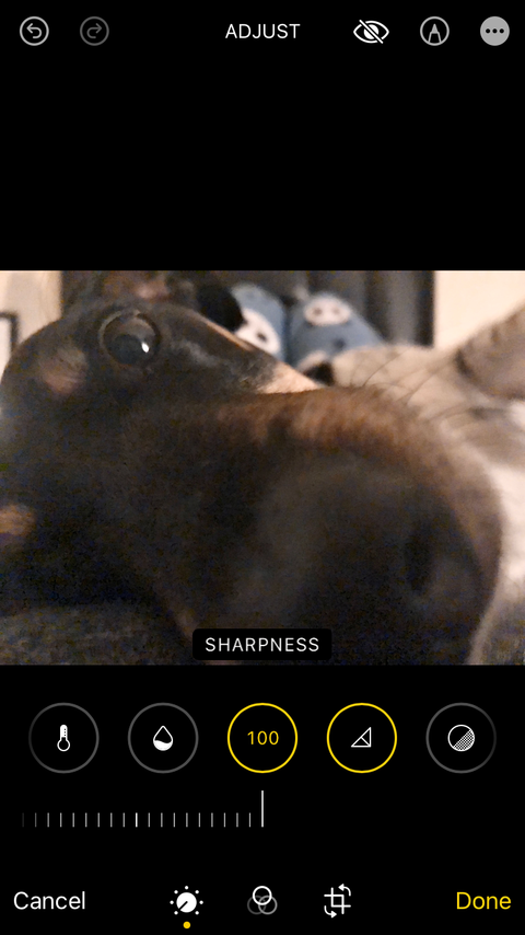 Применение Sharpness в Apple Photos