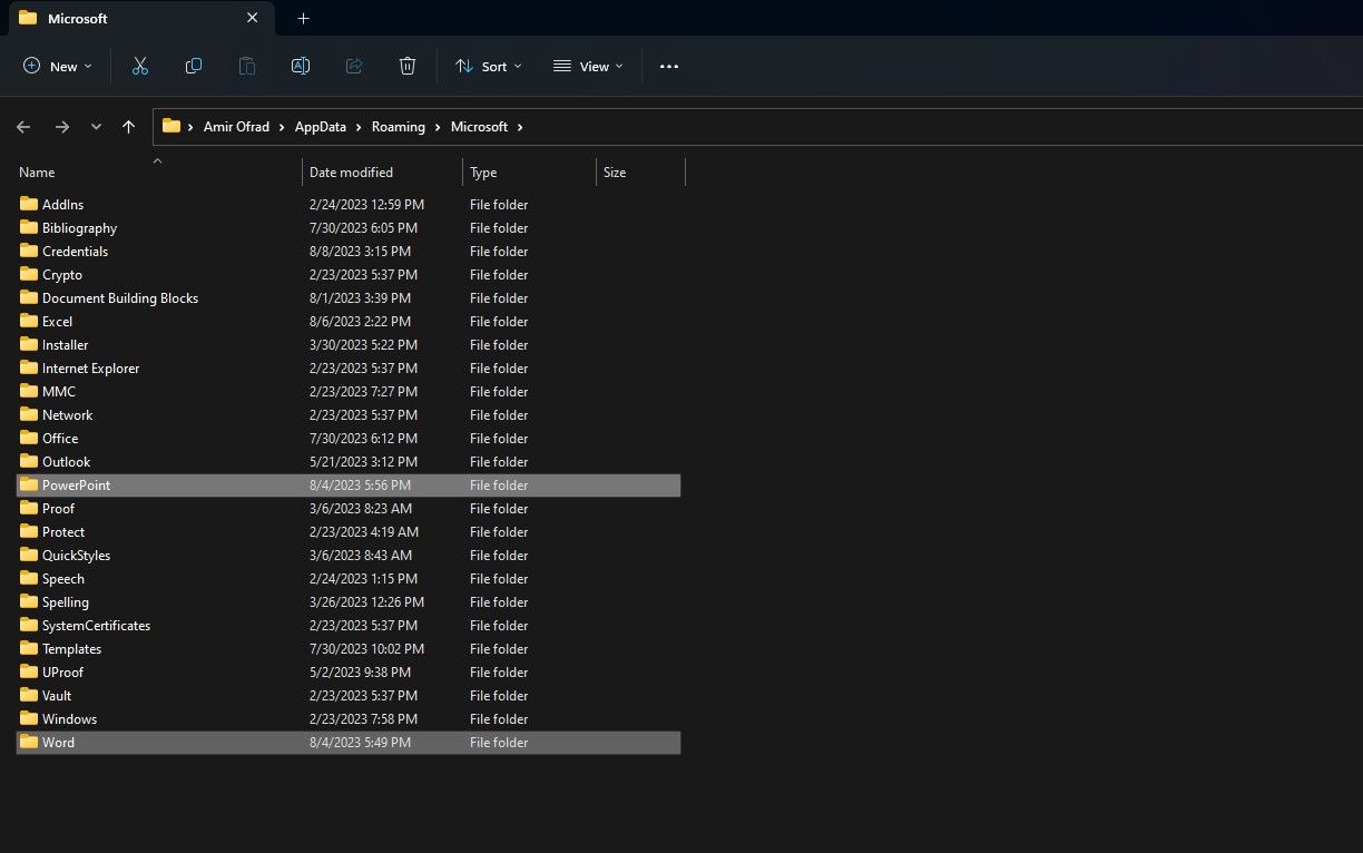 Папки Word и PowerPoint в %appdata% с временными файлами