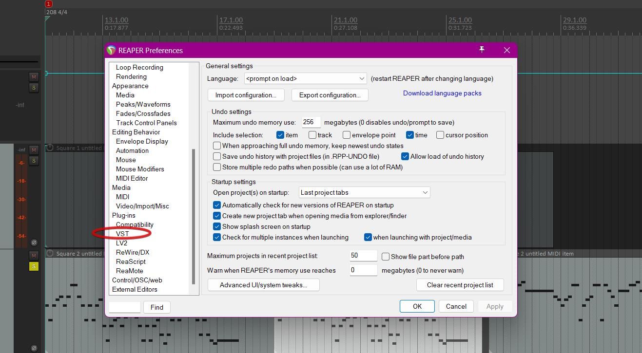 Окно настроек VST в REAPER