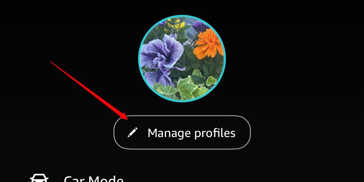 Кнопка управление профилями в приложении Amazon Music на iOS.