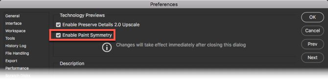 Настройка опции Enable Paint Symmetry в настройках Photoshop