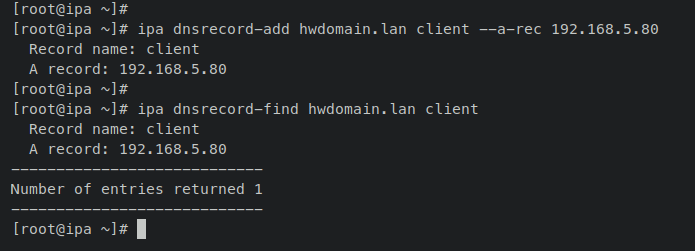 добавление dns записи