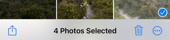 Выберите несколько фото, чтобы применить правки ко всему набору