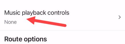Нажмите «Элементы управления воспроизведением музыки».