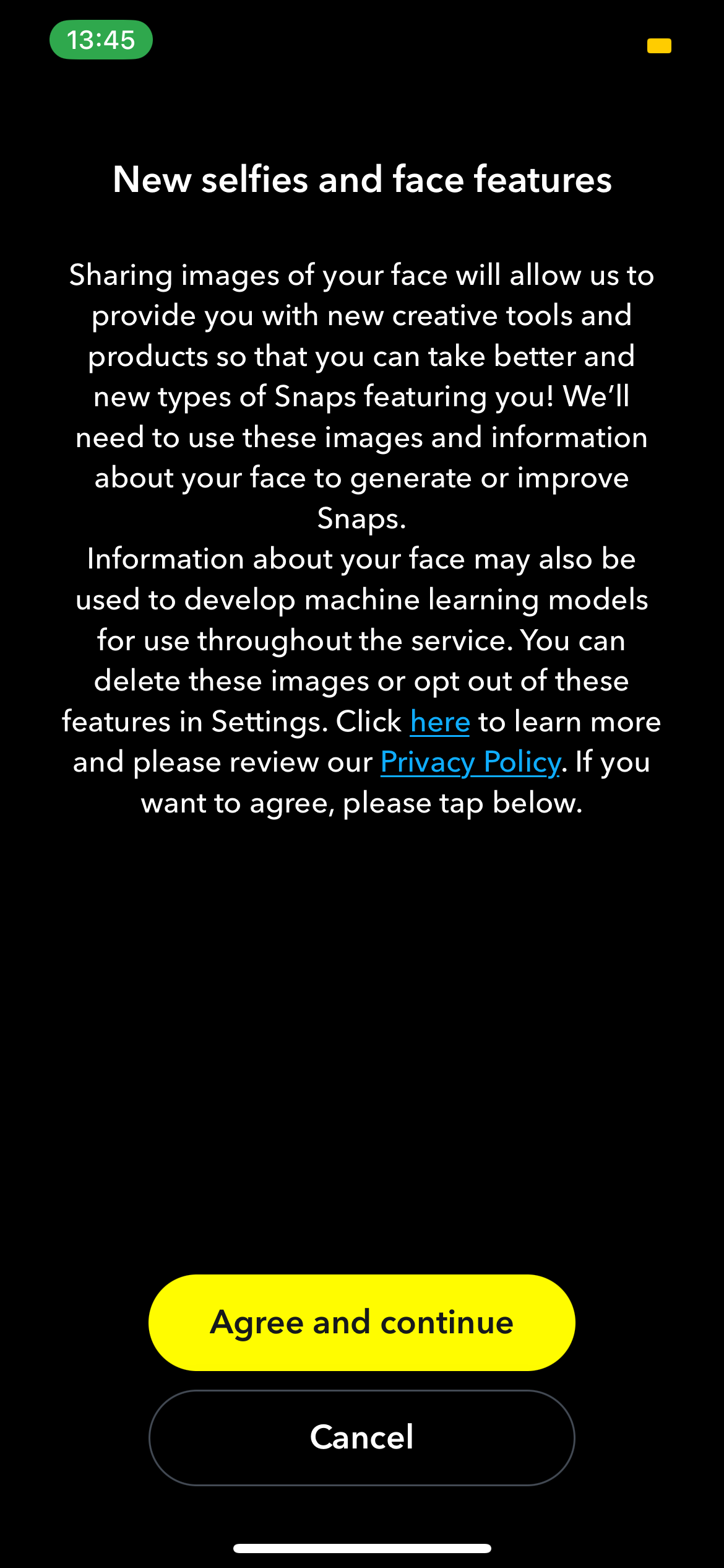 Страница условий для AI‑селфи
