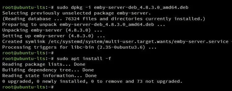 Процесс установки Emby на Ubuntu