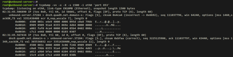 Зашифрованные TLS пакеты на порту 853 в tcpdump
