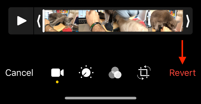 Возврат видео к исходному состоянию в приложении Фото