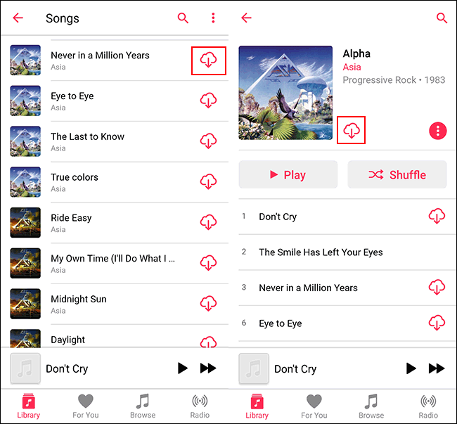 Во вкладке Songs или в карточке Album нажмите иконку загрузки для офлайн