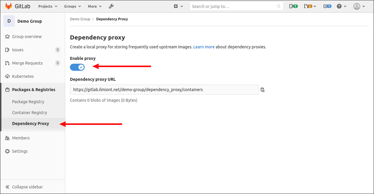 Скриншот настроек Dependency Proxy группы в GitLab