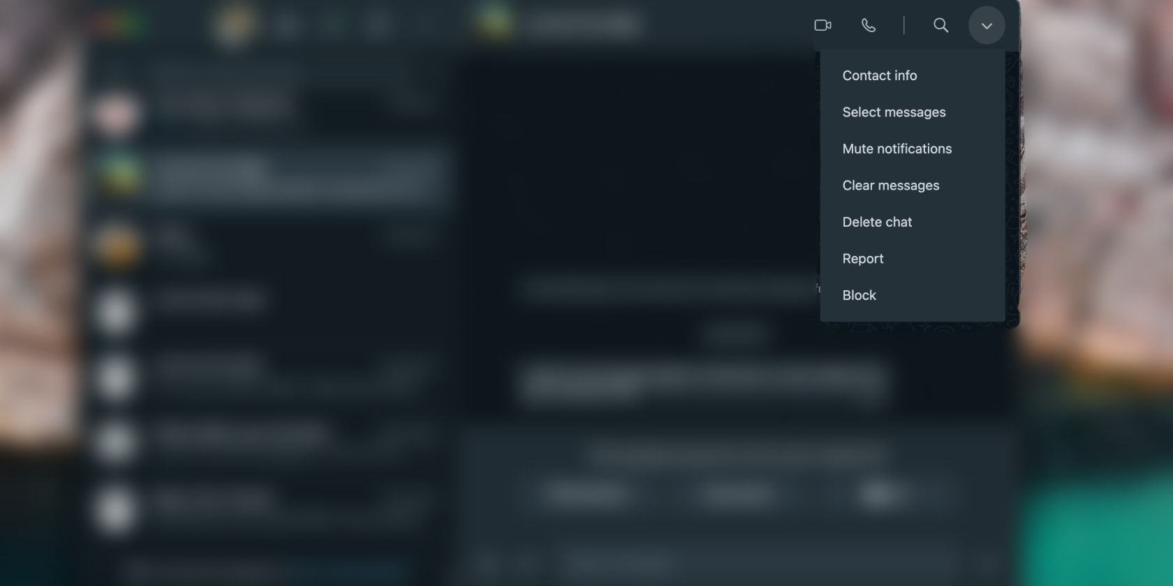 Меню чата в десктопном приложении WhatsApp