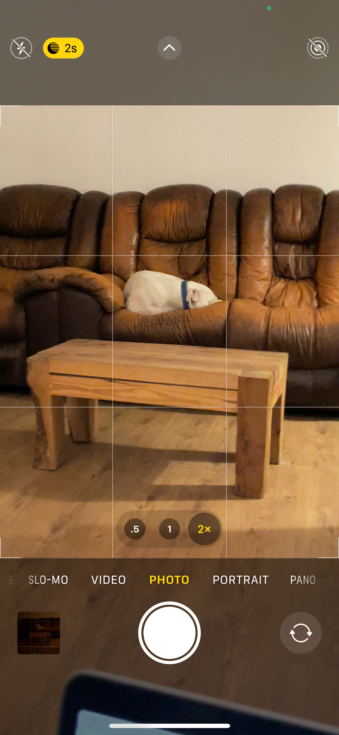 screenshot showing camera view on iPhone iOS 15 with a white dog sleeping on a brown sofa