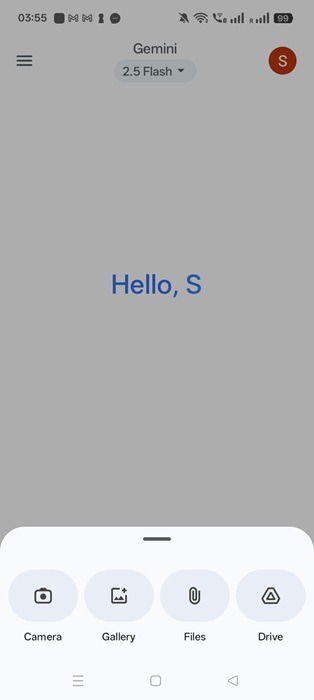 Various sources of uploading image to Gemini: Camera, gallery, files, Drive.
