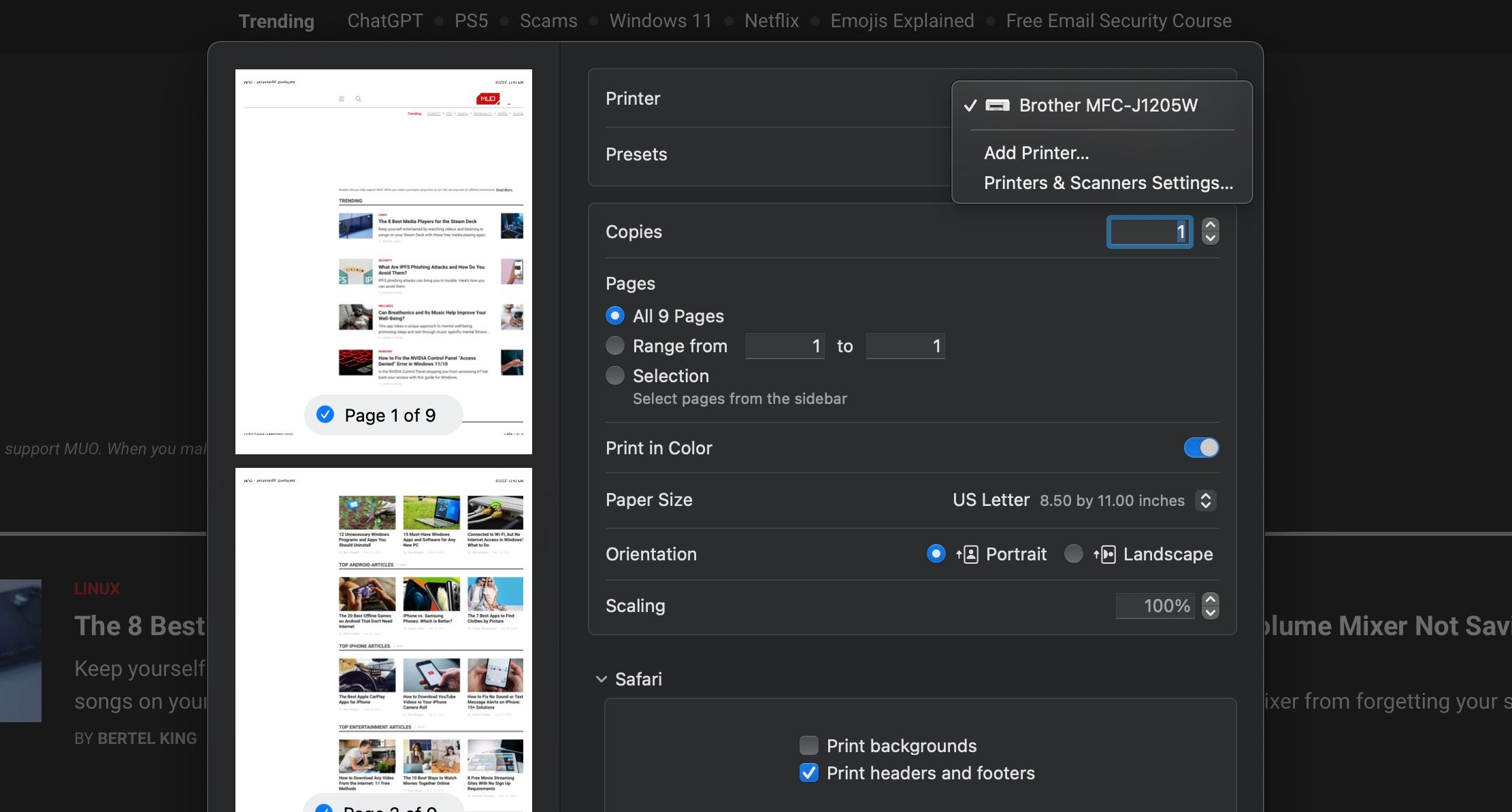 Окно печати в Safari