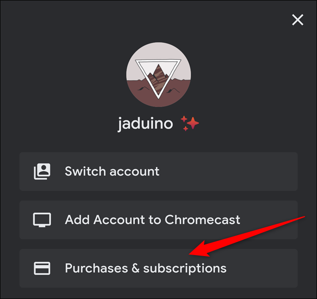 Кнопка «Purchases & Subscriptions» в меню приложения Stadia