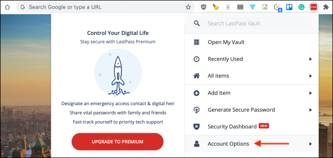 Раздел Advanced в расширении LastPass