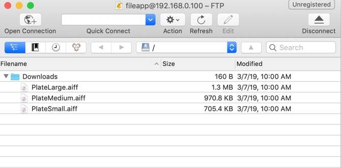Browsing FileApp files in CyberDuck