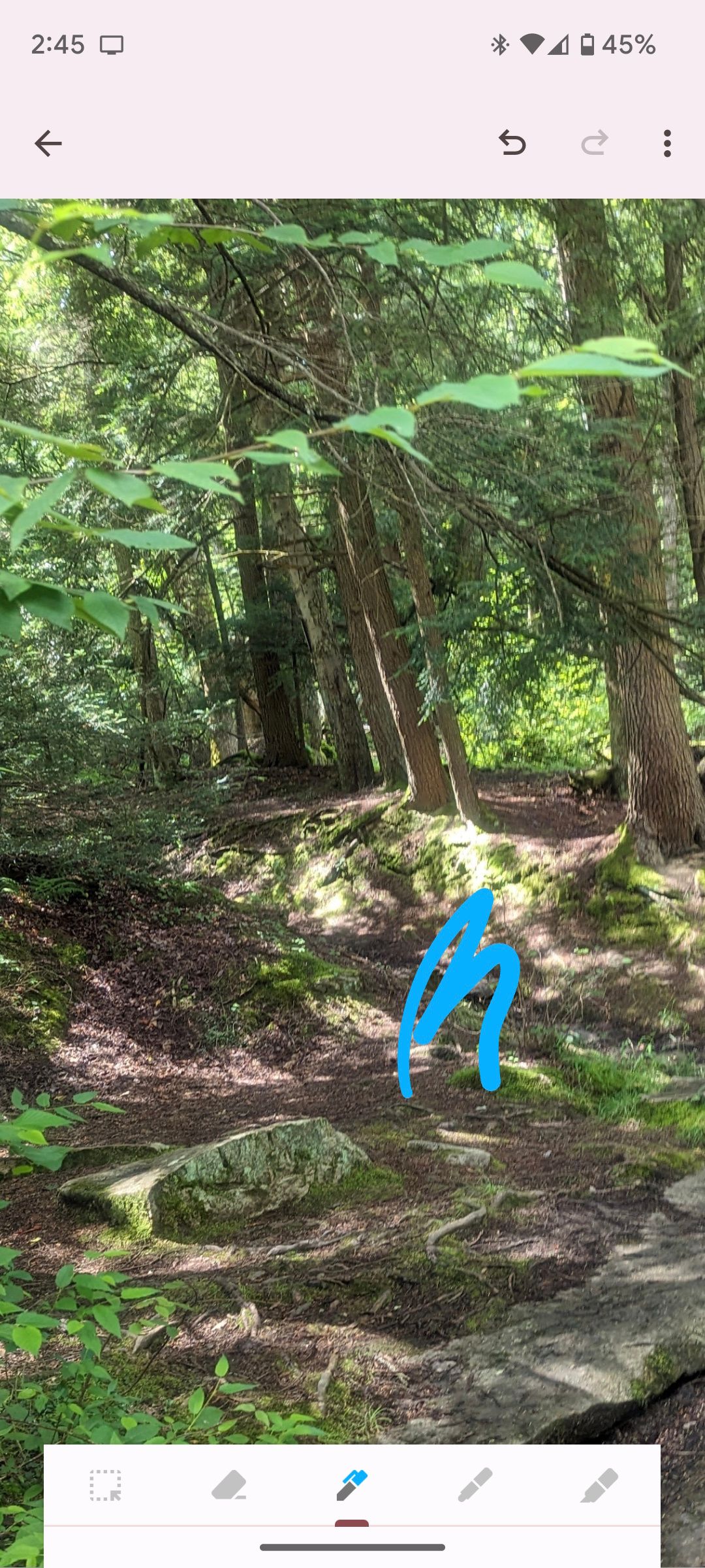 Ошибочный рисунок в изображении в Google Keep