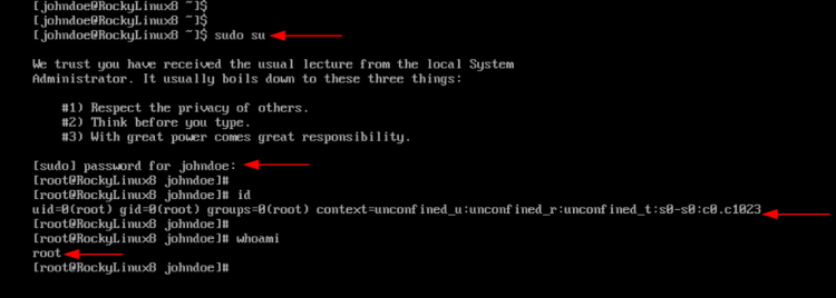 Подтверждение привилегий sudo и переход в root