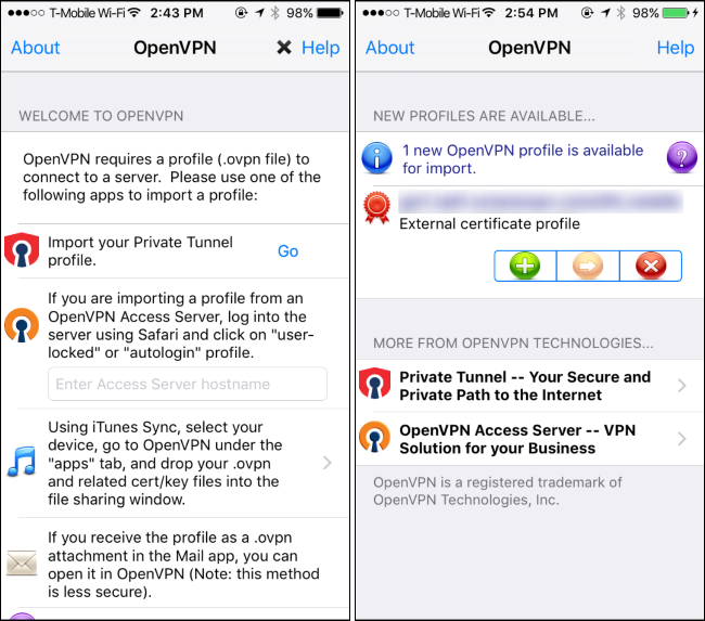 Логотип и интерфейс OpenVPN Connect на iPhone