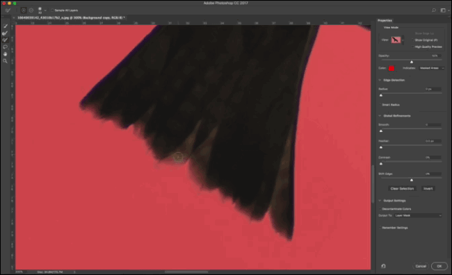 Ручная дорисовка кистью внутри Select and Mask