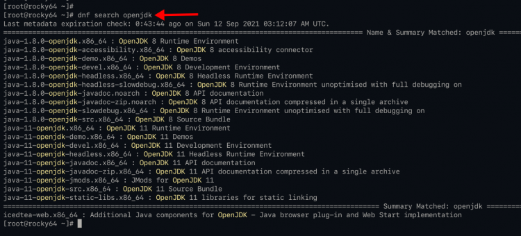 Поиск пакетов OpenJDK в репозитории Rocky Linux